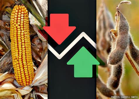 Grains lower and Livestock mostly lower.